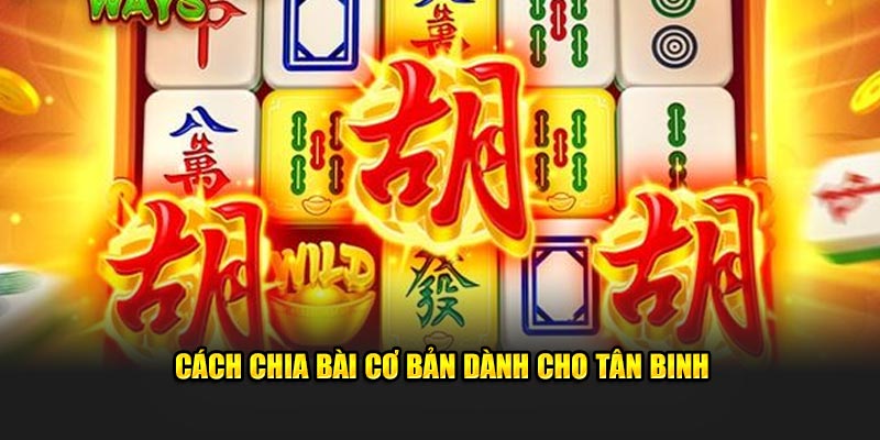 Cách chia bài cơ bản dành cho tân binh