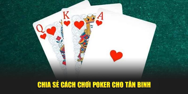 Chia sẻ Cách Chơi Poker cho tân binh